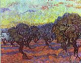 Olive grove by Vincent van Gogh
